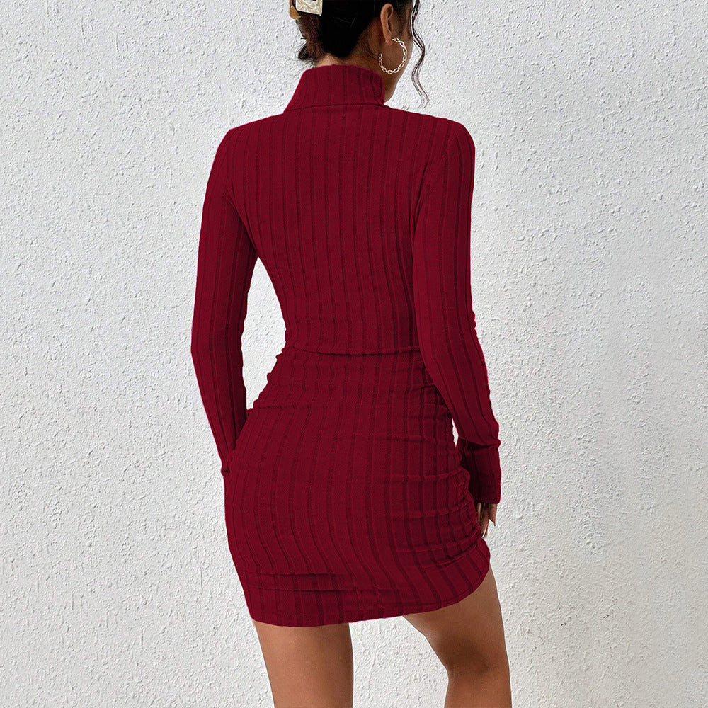 High-Neck Long Sleeve Bodycon Dress alternate product view