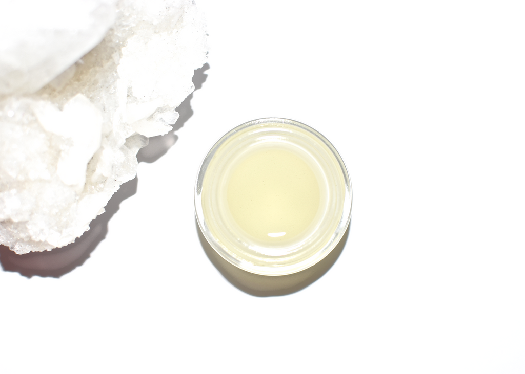 Plant Makeup No Makeup Balm clear multi-use dewy gloss balm